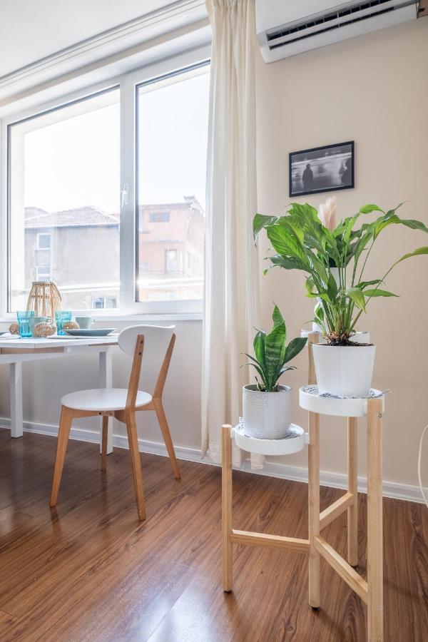 Oasis: Stylish Retreat In The Heart Of Daire Sofya